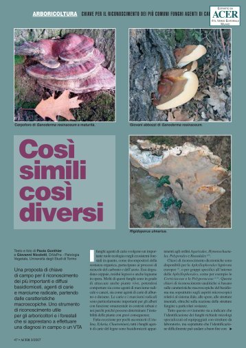 Così simili così diversi - Il Verde Editoriale