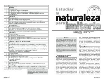 No. 139, p. 10, Estudiar la naturaleza para imitarla - Cómo ves ...