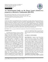 An Ultrastructural Study on the Desert Locust (Schistocerca gregaria ...