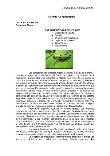 Orden Orthoptera.pdf