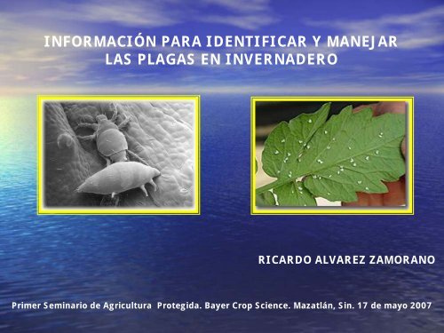 Plagas Invernaderos - Bayer CropScience Mexico