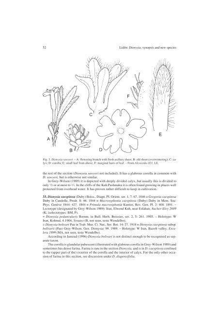 The genus Dionysia (Primulaceae), a synopsis and five new species