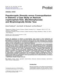 Pseudocryptic Diversity versus Cosmopolitanism in Diatoms a Case ...