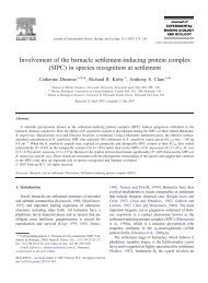 Involvement of the barnacle settlement-inducing protein complex ...