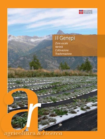 Il Genepì zone vocate, varietà, coltivazione e trasfomazione