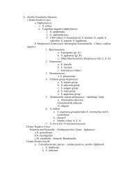 A. Aerobic/Facultative Bacteria 1.Gram-Positive Cocci a ...