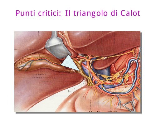 Presentazione clinica dei tumori delle vie biliari - ITMO