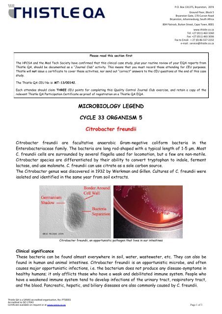 Cycle 33 Organism 5 - Citrobacter freundii - Thistle QA