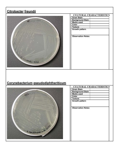 BIOSCI 221