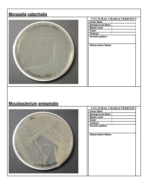 BIOSCI 221