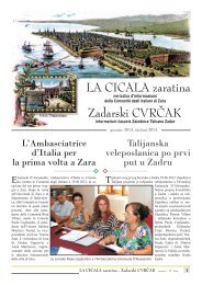 LA CICALA zaratina Zadarski CVRČAK - Italiani di Zara