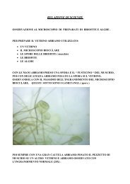 briofite e alghe.pdf - Istituto Paritario 