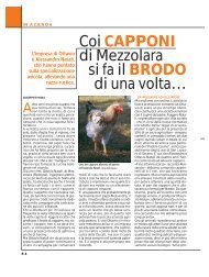 Coi CAPPONI di Mezzolara si fa il BRODO di ... - Ermes Agricoltura