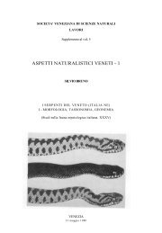 ASPETTI NATURALISTICI VENETI - 1 - Istituto Veneto di Scienze ...