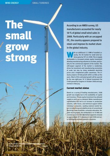 The small grow strong - windConsultant - Annette Nüsslein