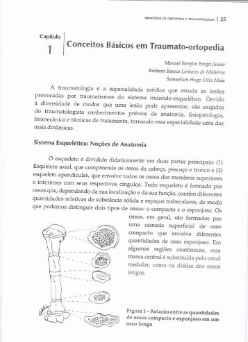Livro “Princípios em Ortopedia e Traumatologia” 1ª edição. - Prodot