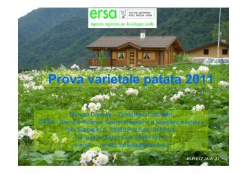 Patata Prova varietale 2011 - Ersa