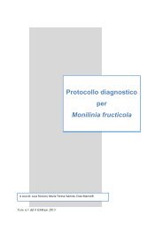 Protocollo diagnosi Monilinia fructicola.pdf - Strateco
