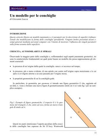 Un modello per le conchiglie - Matematicamente.it