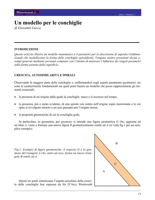 Un modello per le conchiglie - Matematicamente.it