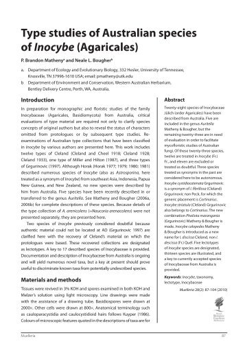 Type studies of Australian species of Inocybe (Agaricales)