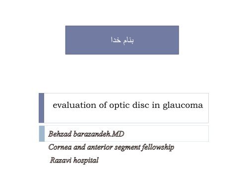 Evaluation of optic disc in glaucoma