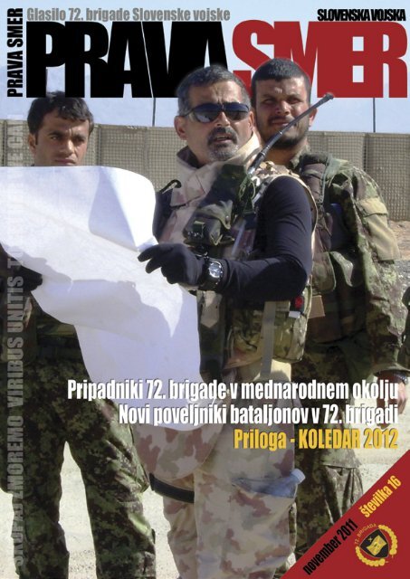 Profesionalno in profesionalizem ter tradicija - Slovenska vojska