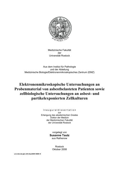 Elektronenmikroskopische Untersuchungen an Probenmaterial von ...