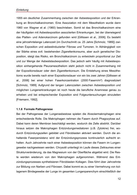 Elektronenmikroskopische Untersuchungen an Probenmaterial von ...