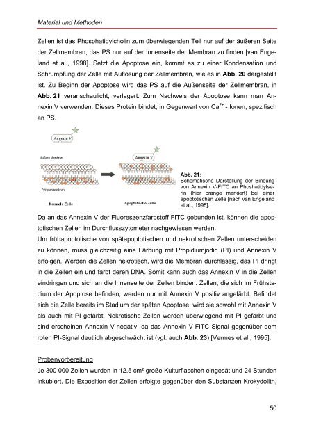 Elektronenmikroskopische Untersuchungen an Probenmaterial von ...