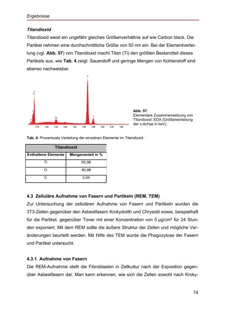 Elektronenmikroskopische Untersuchungen an Probenmaterial von ...