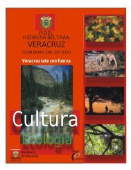 Cultura Ecológica Manual - Tebaev