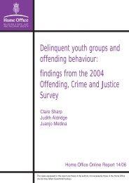 Delinquent youth groups and offending behaviour: findings from the ...