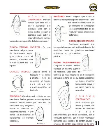 Cartilla Tecnicas de Manejo 2 (b) WJT - Agronet