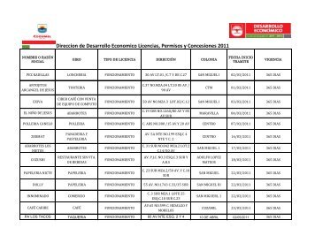 Direccion de Desarrollo Economico Licencias, Permisos ... - Cozumel