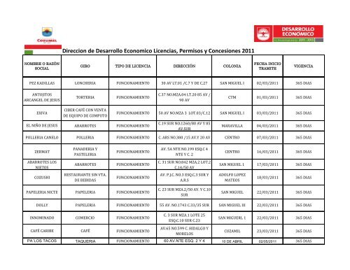 Direccion de Desarrollo Economico Licencias, Permisos ... - Cozumel