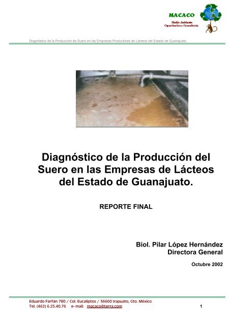 DOCS/DIAGNOSTICO DE LA PRODUCCION DE SUERO.pdf