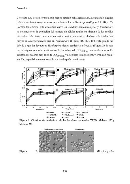 Livro das Actas - advid