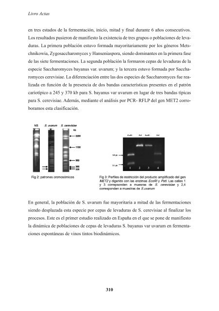 Livro das Actas - advid