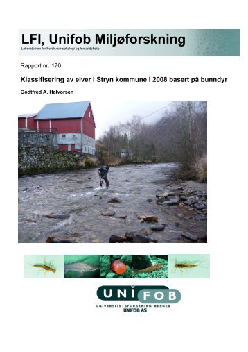 Klassifisering av elver i Stryn kommune basert på bunndyr 2008