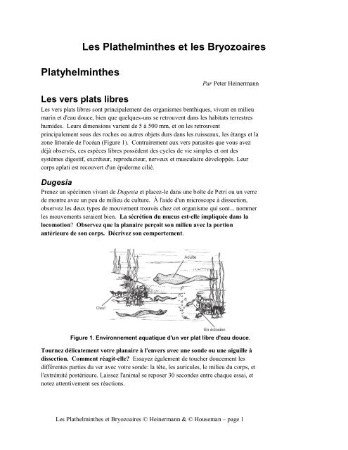 Manuel de laboratoire .pdf - Adam Oliver Brown