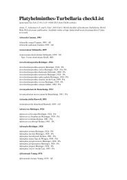 Platyhelminthes-Turbellaria checkList - FADA