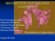 Tubercolosi e micobatteri - MEDNAT.org