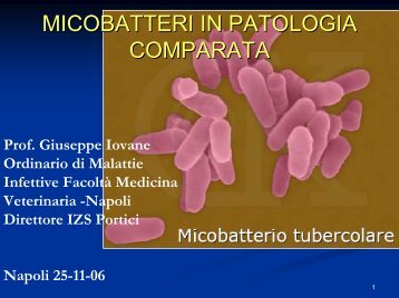 Tubercolosi e micobatteri - MEDNAT.org