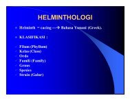 HELMINTHOLOGI