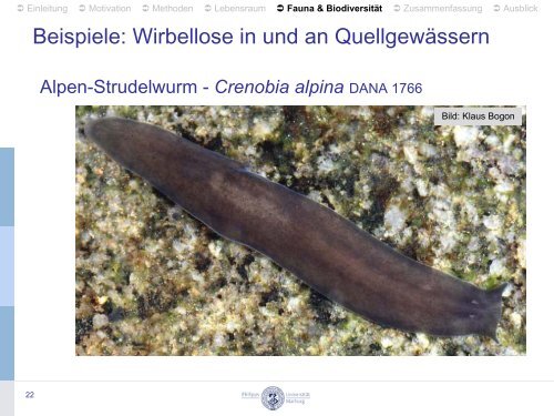 Quellgewässer der Rhön – Fauna, Biodiversität und Lebensraum