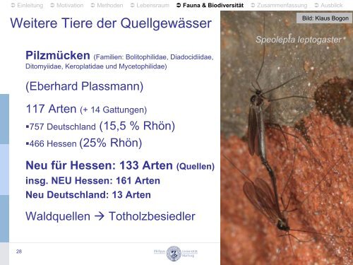 Quellgewässer der Rhön – Fauna, Biodiversität und Lebensraum