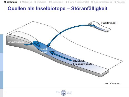 Quellgewässer der Rhön – Fauna, Biodiversität und Lebensraum