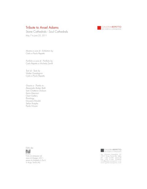 Tribute to Ansel Adams - Galleria Repetto