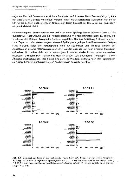 Ökologische Folgen von Stauraum- spülungen - Bafu